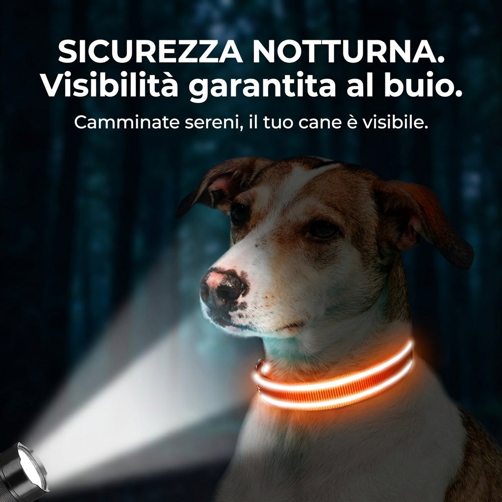 Collare riflettente in nylon – Morbido e regolabile