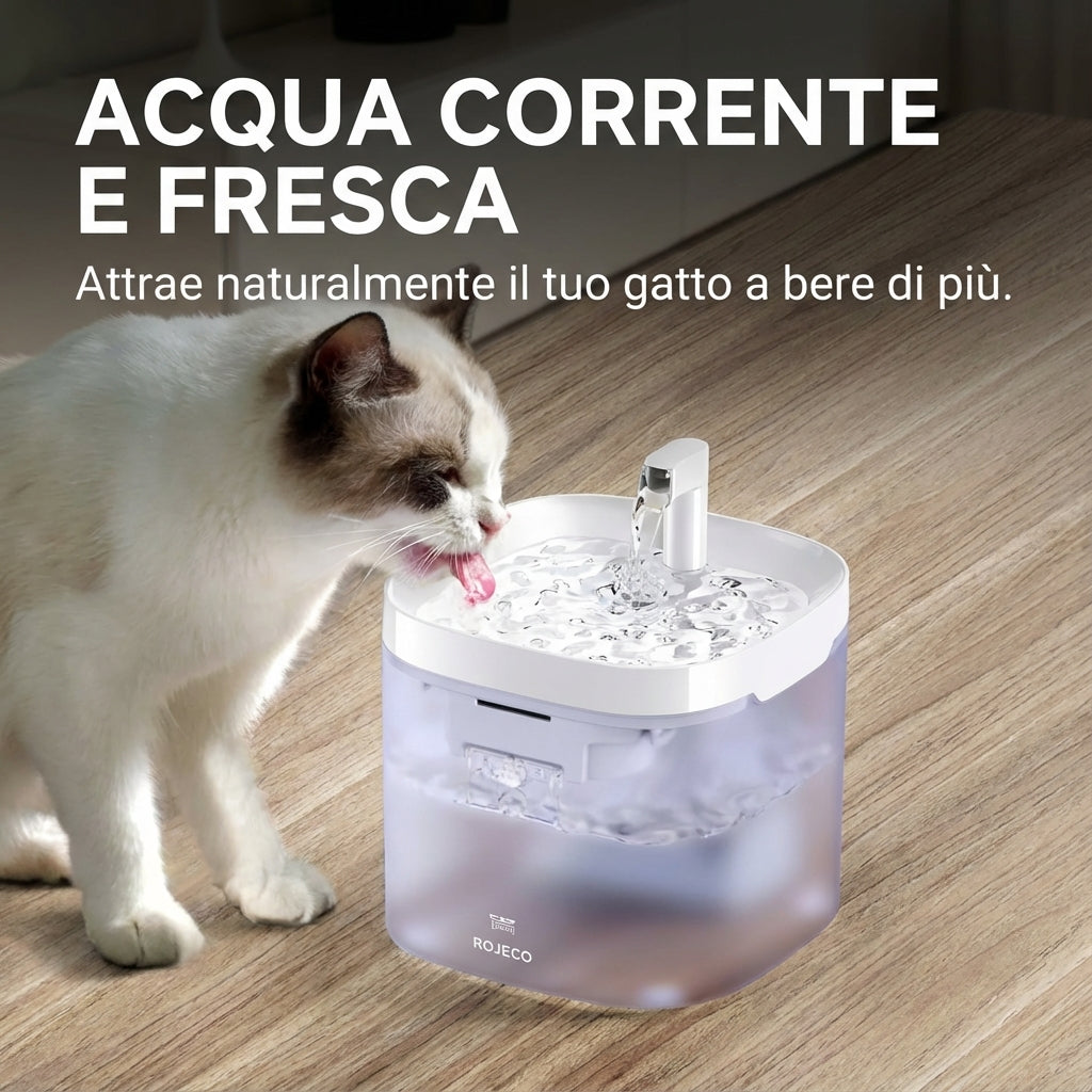 Fontanella smart per gatti – Filtrazione continua