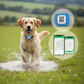 Tracker GPS 4G per animali – Localizzazione in tempo reale