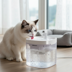 Fontanella smart per gatti – Filtrazione continua